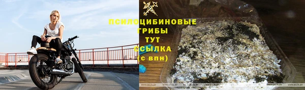 тгк Бугульма