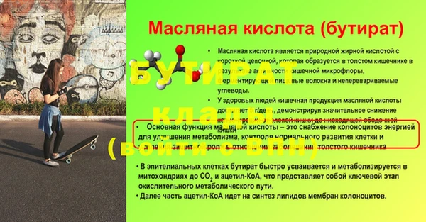 сатива Бородино