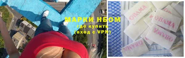 сатива Бородино