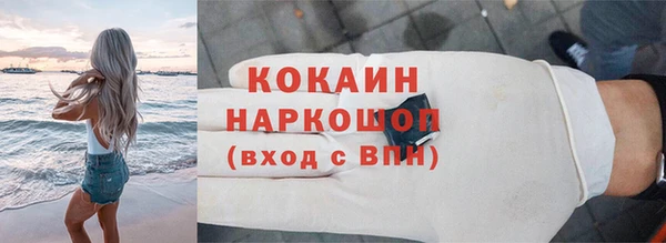 сатива Бородино