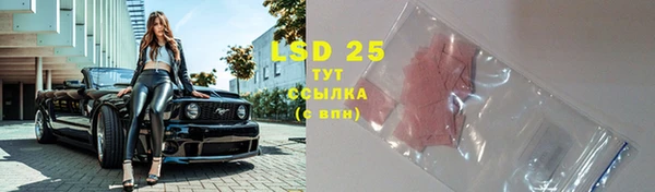 стафф Верея