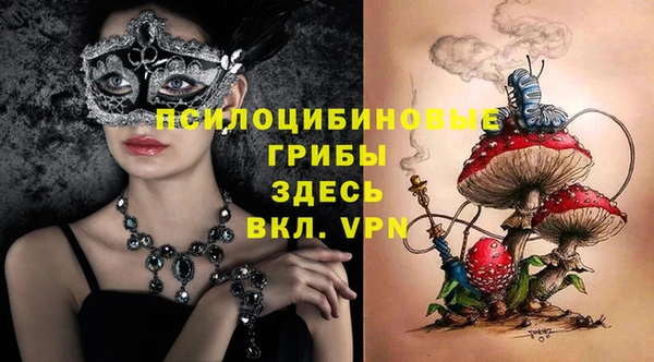 стафф Верея