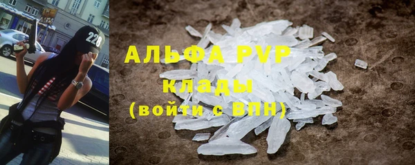 сатива Бородино