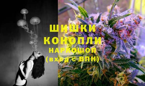 молекула духа Верхний Тагил