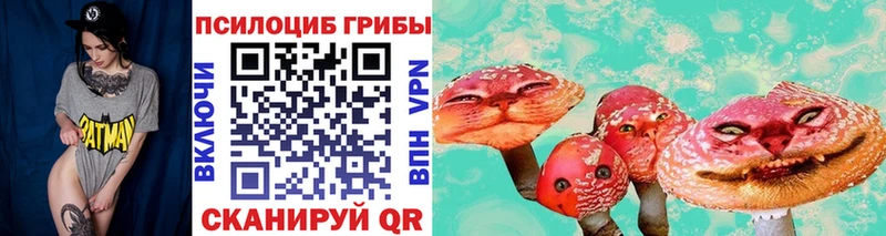 Псилоцибиновые грибы Cubensis  Кондрово 